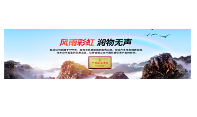 不經(jīng)風雨何以見彩虹——在虹潤圓夢助學(xué)行動座談會上的講話